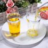 Sliner 50 Pcs Hard Plastic Cups Double Rimmed Plastic Cups Heavy Duty Fancy Disposable Wine Glasses for Holiday Wedding Graduation Birthdays Christmas Valentine Parties(16 Oz,Rose Gold)(Silver)