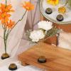 Sliner 8 Pcs 2 Inch Floral Frogs Round Brass Flower Holder Japanese Ikebana Vase Floral Frogs Arranger Fixed Tools Pin for Flower Arrangement Home DIY Craft(Gold)(/)
