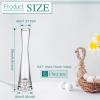 Sliner 6 Pcs Tall Glass Bud Vase for Centerpieces Clear Maria Bud Vase Small Single Flower Vase Rose Skinny Decorative Cylinder Vases for Wedding Party Home Table Decorations(9.84” H)(9.84” H)